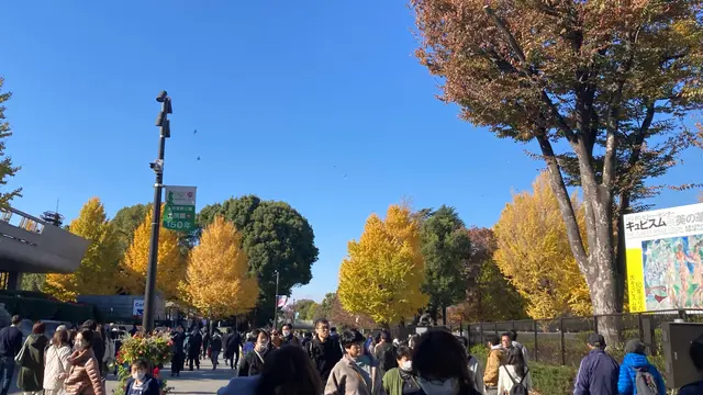 秋の新宿近辺デート🍁