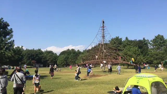愛犬と行く稲毛海浜公園•Inage Beachfront Park with lovely Dog