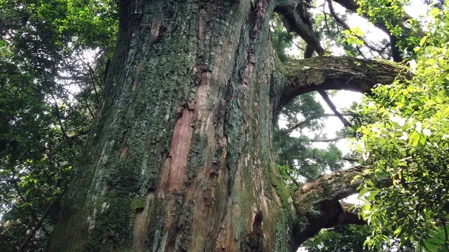 大井川と千葉山で ゆったりパワースポット