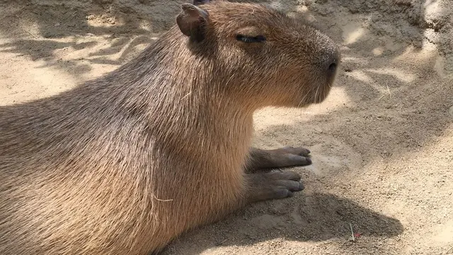 神戸の街中で、のんびりユル旅♨️