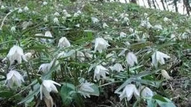 退職後のおたのしみ♪アクティブ田舎デート in島根県川本町