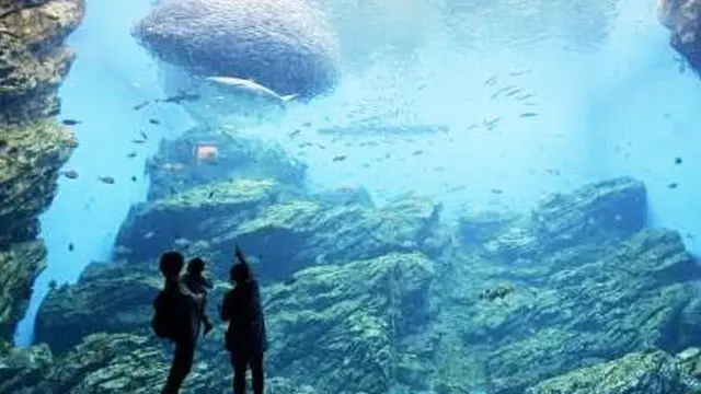 仙台★仙石線欲張りツアー