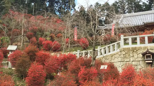 紅葉、登山、自然癒しの旅