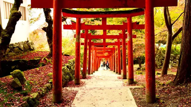 兵庫県 紅葉巡り