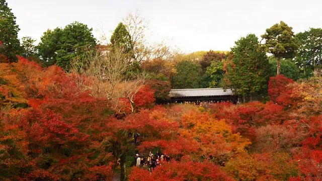 11月京都、紅葉を求めて②