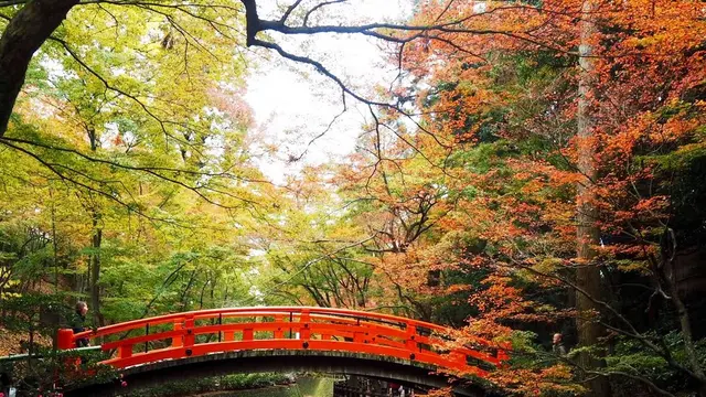 11月京都、紅葉を求めて③