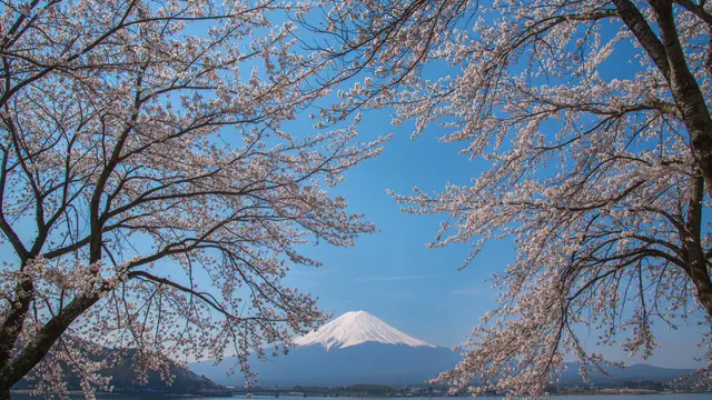山梨初心者プラン