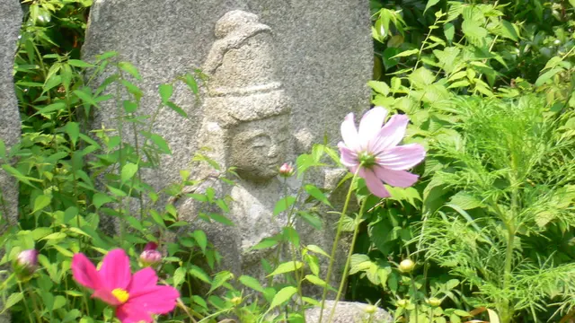 奈良 花の寺、般若寺~ならまち街歩き