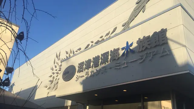 深海の世界を堪能〜沼津港深海水族館へ行こう!
