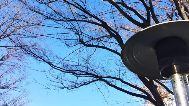 代官山でゆったり