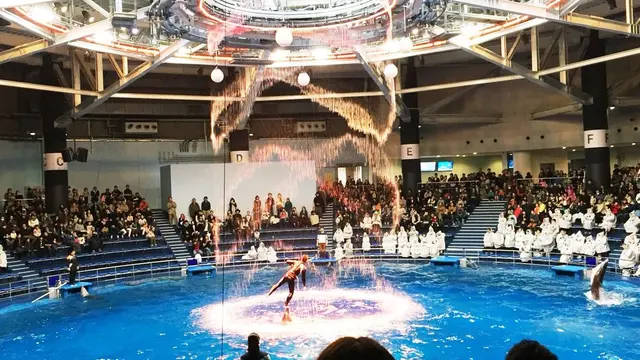 雨の日デートにぴったり❤︎エプソンアクアパーク品川