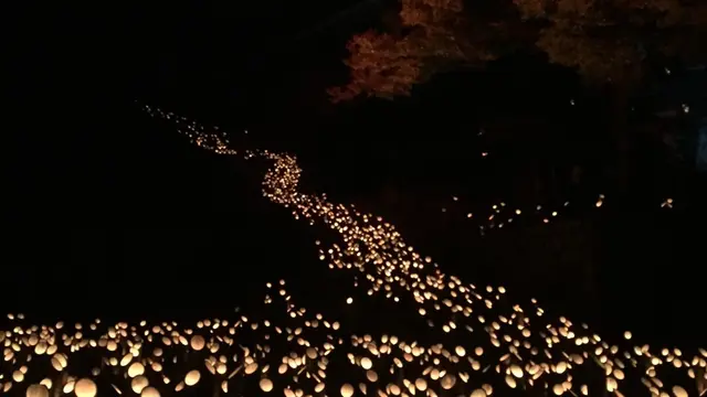 【18県目】大分の2泊3日(初投稿)