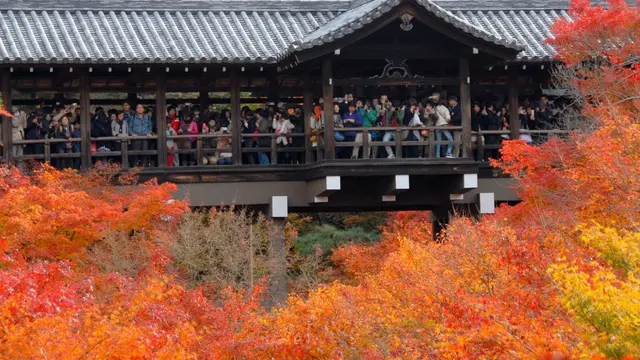 JR線だけで京都の紅葉を巡る 東福寺から泉涌寺七福神まで