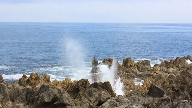 【気仙沼】観光パンフレットでは紹介されない気仙沼を巡る(入門編)