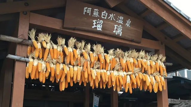 【阿蘇時間⑨南阿蘇〜白川〜熊本市内】