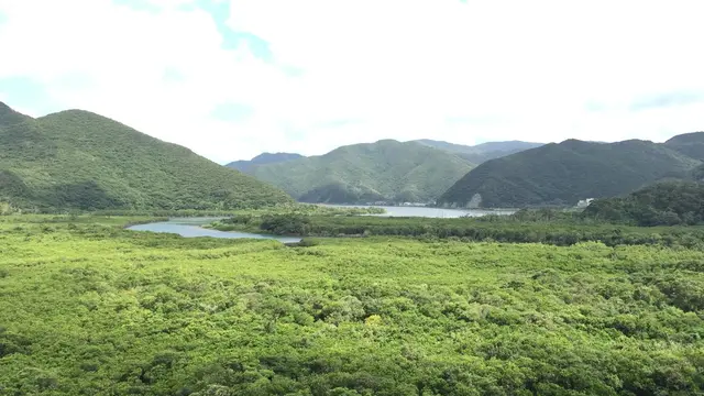 奄美大島の真ん中で自然に浸かる。リピーターの方必見!山に囲まれた住用町でのんびり過ごそう。