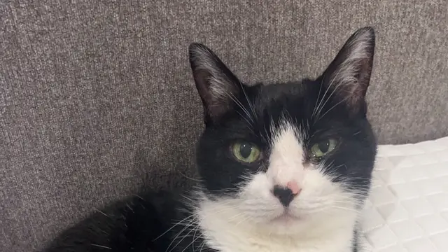 旅3日目北海道に帰ります、の前に