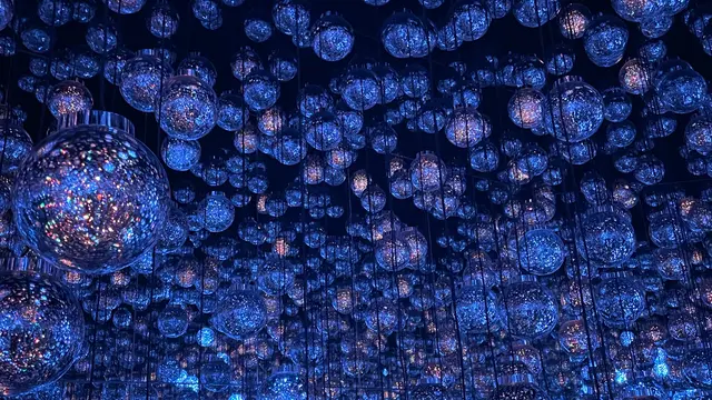 【東京 麻布台】teamLab⭐︎ Borderless 秋の遠足🎶