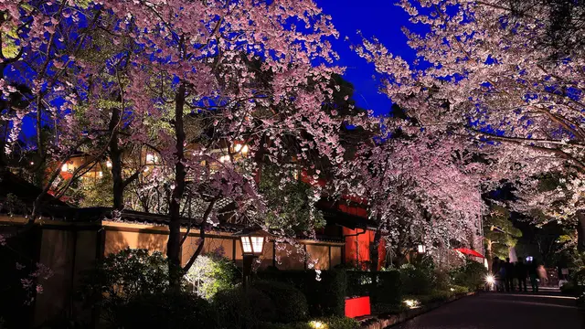 2018秋のデート