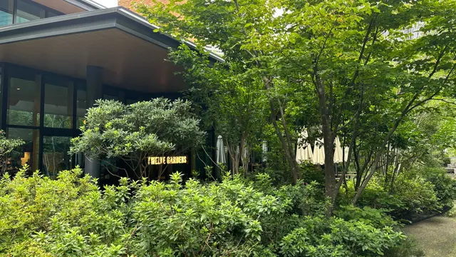 森の中にいるみたい!な、レストラン&カフェ