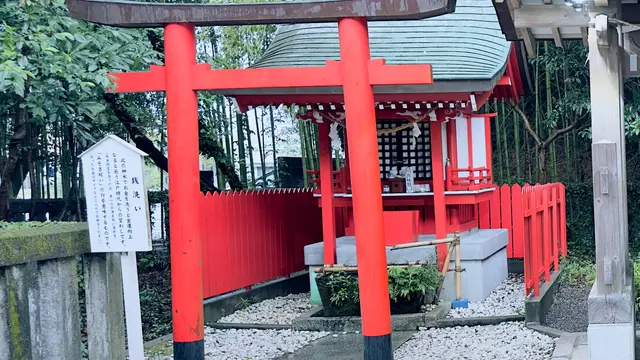 神話のふるさと『宮崎』へ1泊3日の癒し旅行🚢