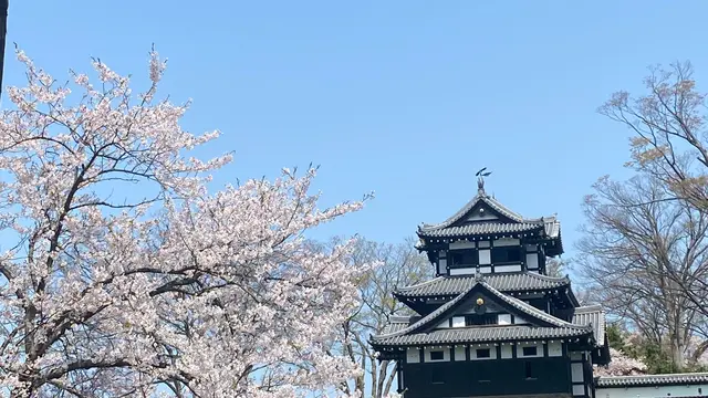 新潟高田城〜長野野沢温泉
