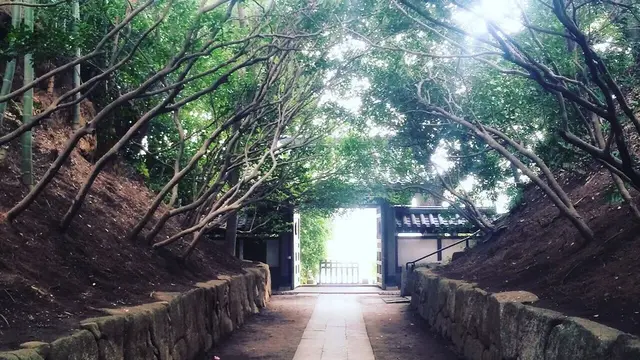 ◯⚫︎鶴見お寺巡り⚫︎◯