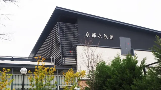 京都のおさかなさん