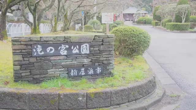 パンを持ってピクニック♡お手軽ピクニックプラン(愛媛県新居浜市 編)