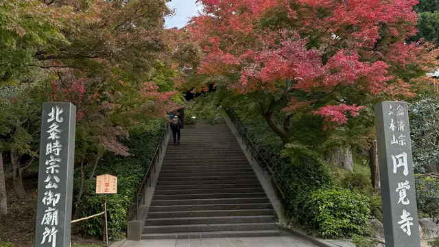 【北鎌倉〜江ノ島】秋の紅葉&イルミネーション✨…そして美味しいもの