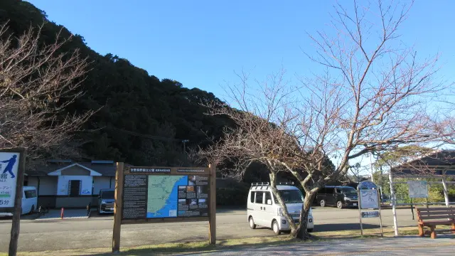 クジラみたことある？クジラってどんな生き物？