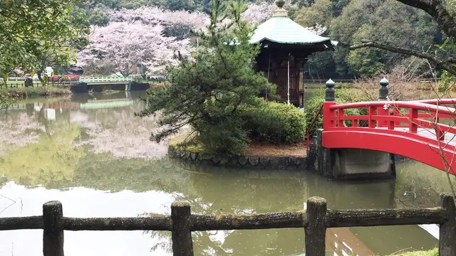 低学年の子供と遊ぶには最高です。定光寺公園
