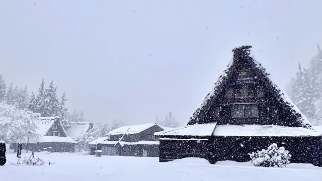 冬こそ行きたい！世界遺産白川郷❄️伝統文化と伝統工芸を味わう旅