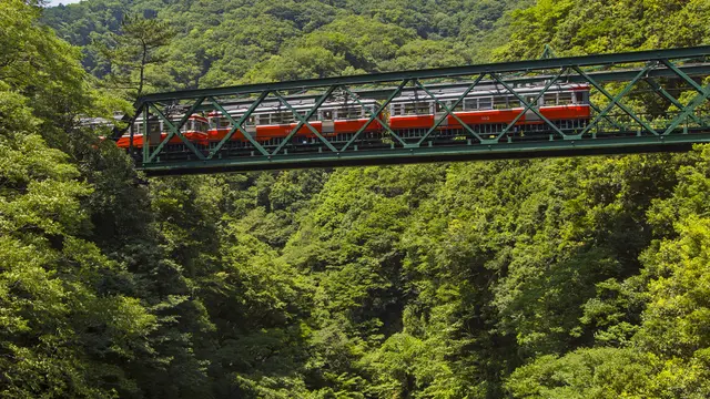 【箱根】万人受けする箱根治癒旅行🍵