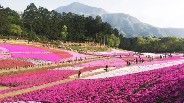♡日帰り秩父♡