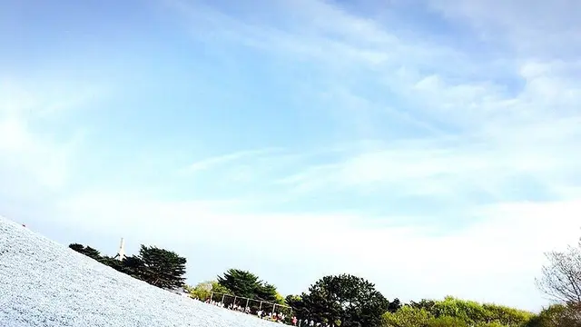 the休日！茨城日帰り旅行🚙