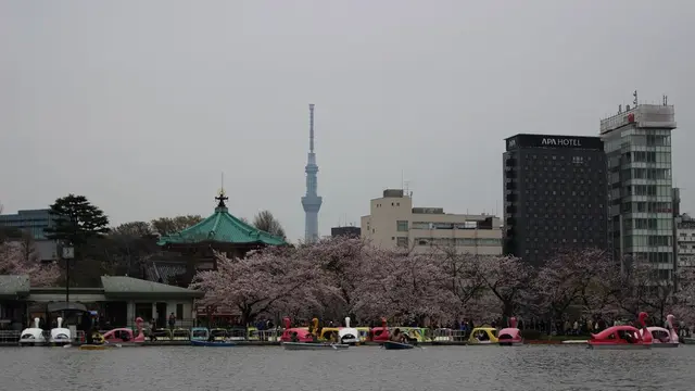 都内を巡る!自転車の旅〜上野・浅草・荒川・谷中〜