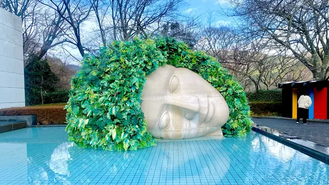 【1月の箱根】♨️寒いからいいのよ。