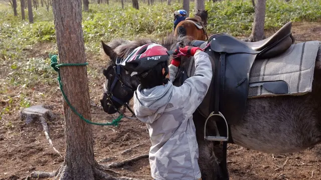 【絶対おすすめ】十勝の森で自分で裸馬を捕まえて仲間になって乗馬をする感動を！
