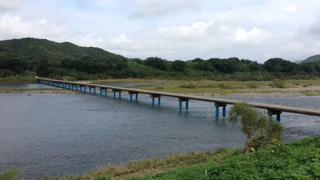 わんこと四国