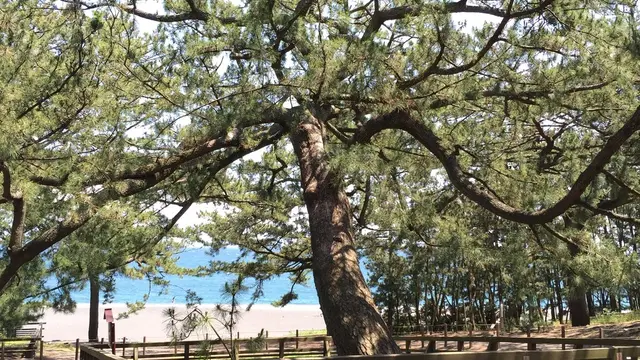 タイムスリップ⁈