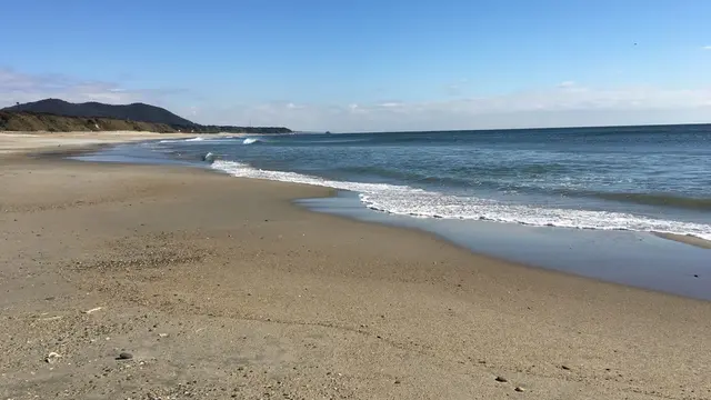 ✨海の散歩コース 渥美 表浜