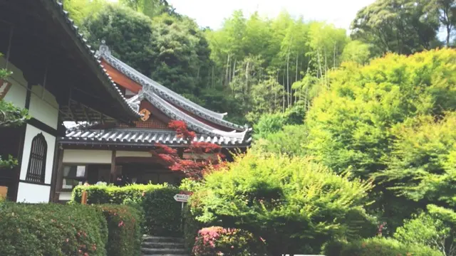 願い事を叶えるんるんるん