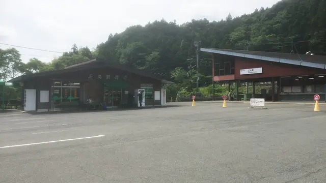 山里に咲く花を愛でながら〜埼玉県飯能市 伊豆ヶ岳