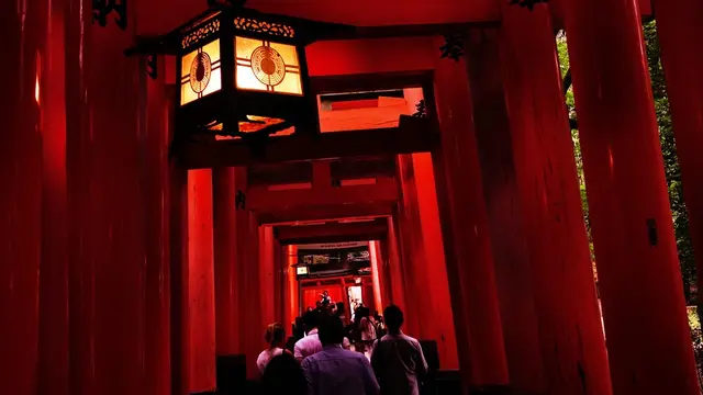 京都に来てから行きたいところを決めた