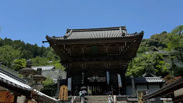 【奈良】梅雨真っ最中？！🪷長谷寺へ