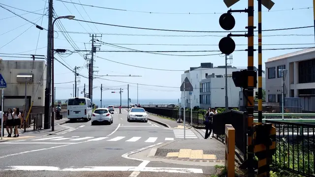 【湘南・鎌倉】夏を満喫!お散歩プラン