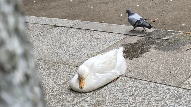 休日のひとり遊び