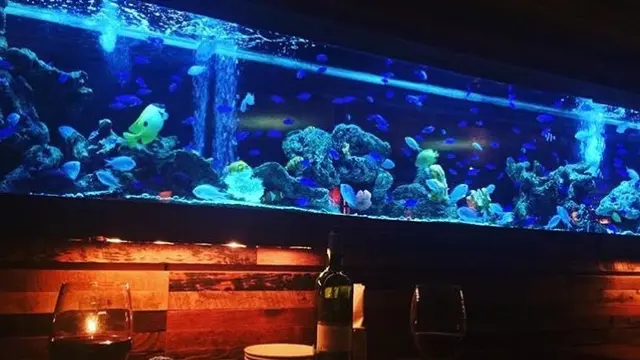 【新宿】で、ちょっぴり背伸びした大人デート