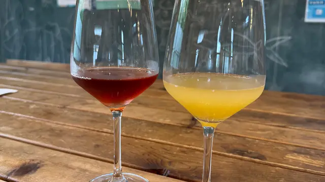 🍷おおみしまみんなのワイナリー